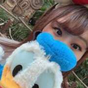 ヒメ日記 2025/11/18 15:09 投稿 ゆみ 白いぽっちゃりさん五反田店