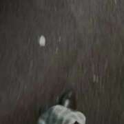 ヒメ日記 2026/01/31 05:59 投稿 ゆみ 白いぽっちゃりさん五反田店