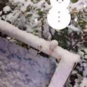 ヒメ日記 2026/02/08 05:59 投稿 ゆみ 白いぽっちゃりさん五反田店