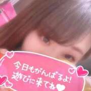 ヒメ日記 2026/09/09 13:30 投稿 ゆみ 白いぽっちゃりさん五反田店