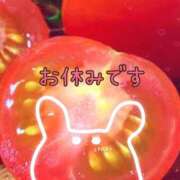 ヒメ日記 2025/07/15 14:14 投稿 米原ちさと 彩タマンサ（埼玉ハレ系）