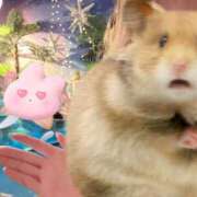 ヒメ日記 2025/06/08 15:40 投稿 あかり スイカ