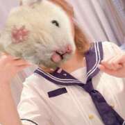 ヒメ日記 2025/06/09 11:30 投稿 あかり スイカ