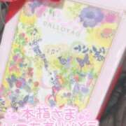 ヒメ日記 2026/01/25 23:38 投稿 あかり スイカ