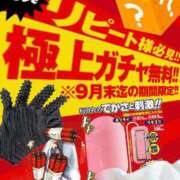 ヒメ日記 2023/09/01 12:30 投稿 りょうか 五反田アンジェリーク