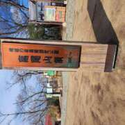 ヒメ日記 2025/03/14 12:48 投稿 りょうか 五反田アンジェリーク