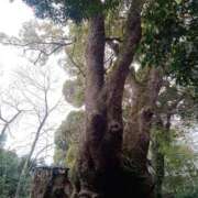 常盤ゆうな 本日出勤します。 松戸人妻花壇