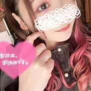 ヒメ日記 2024/12/12 13:17 投稿 みみ 京都祇園・南インターちゃんこ