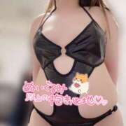 ヒメ日記 2024/12/16 18:30 投稿 みみ 京都祇園・南インターちゃんこ