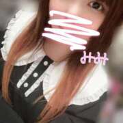 ヒメ日記 2024/12/26 23:30 投稿 みみ 京都祇園・南インターちゃんこ