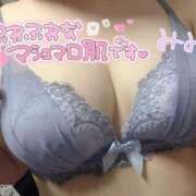 ヒメ日記 2024/12/28 07:16 投稿 みみ 京都祇園・南インターちゃんこ