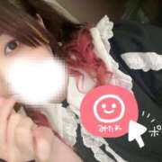 ヒメ日記 2024/12/28 15:31 投稿 みみ 京都祇園・南インターちゃんこ