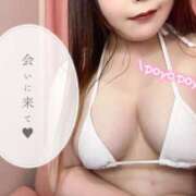 ヒメ日記 2024/12/29 12:12 投稿 みみ 京都祇園・南インターちゃんこ