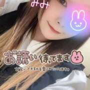 ヒメ日記 2025/01/05 10:42 投稿 みみ 京都祇園・南インターちゃんこ