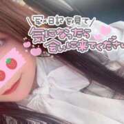 ヒメ日記 2025/01/19 07:15 投稿 みみ 京都祇園・南インターちゃんこ