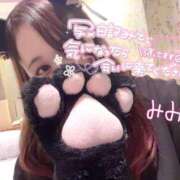 ヒメ日記 2025/02/04 23:30 投稿 みみ 京都祇園・南インターちゃんこ