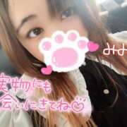 ヒメ日記 2025/02/16 10:45 投稿 みみ 京都祇園・南インターちゃんこ