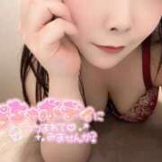 ヒメ日記 2025/02/20 21:16 投稿 みみ 京都祇園・南インターちゃんこ