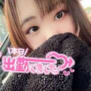 ヒメ日記 2025/02/23 10:49 投稿 みみ 京都祇園・南インターちゃんこ