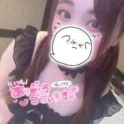 ヒメ日記 2025/02/23 22:15 投稿 みみ 京都祇園・南インターちゃんこ