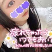 ヒメ日記 2025/02/26 07:15 投稿 みみ 京都祇園・南インターちゃんこ