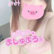 ヒメ日記 2025/03/16 11:25 投稿 みみ 京都祇園・南インターちゃんこ