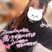 ヒメ日記 2025/03/22 07:15 投稿 みみ 京都祇園・南インターちゃんこ