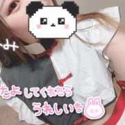 ヒメ日記 2025/03/30 23:49 投稿 みみ 京都祇園・南インターちゃんこ