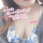 ヒメ日記 2025/04/10 12:31 投稿 みみ 京都祇園・南インターちゃんこ