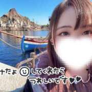 ヒメ日記 2025/04/15 09:26 投稿 みみ 京都祇園・南インターちゃんこ