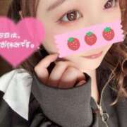 ヒメ日記 2025/04/19 12:31 投稿 みみ 京都祇園・南インターちゃんこ