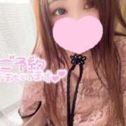 ヒメ日記 2025/04/20 14:23 投稿 みみ 京都祇園・南インターちゃんこ