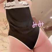 ヒメ日記 2025/04/20 14:55 投稿 みみ 京都祇園・南インターちゃんこ