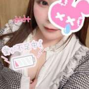 ヒメ日記 2025/04/26 12:28 投稿 みみ 京都祇園・南インターちゃんこ