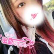 ヒメ日記 2025/04/27 11:02 投稿 みみ 京都祇園・南インターちゃんこ