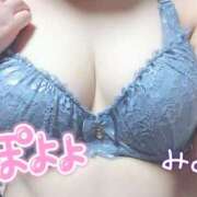 ヒメ日記 2025/05/05 12:31 投稿 みみ 京都祇園・南インターちゃんこ