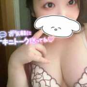 ヒメ日記 2025/05/12 18:30 投稿 みみ 京都祇園・南インターちゃんこ