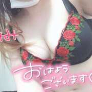 ヒメ日記 2025/05/14 07:17 投稿 みみ 京都祇園・南インターちゃんこ