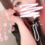 ヒメ日記 2025/05/27 23:44 投稿 みみ 京都祇園・南インターちゃんこ