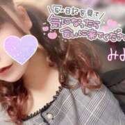 ヒメ日記 2025/05/31 23:30 投稿 みみ 京都祇園・南インターちゃんこ