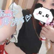 ヒメ日記 2025/06/09 12:31 投稿 みみ 京都祇園・南インターちゃんこ