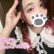 ヒメ日記 2025/06/12 23:30 投稿 みみ 京都祇園・南インターちゃんこ