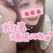 ヒメ日記 2025/06/17 07:15 投稿 みみ 京都祇園・南インターちゃんこ