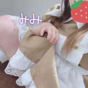 ヒメ日記 2025/06/23 07:15 投稿 みみ 京都祇園・南インターちゃんこ