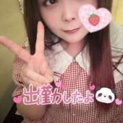 ヒメ日記 2025/06/29 14:46 投稿 みみ 京都祇園・南インターちゃんこ