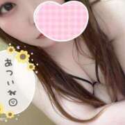 ヒメ日記 2025/08/25 22:01 投稿 みみ 京都祇園・南インターちゃんこ