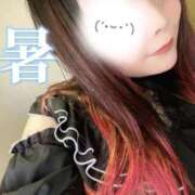 ヒメ日記 2025/08/28 07:20 投稿 みみ 京都祇園・南インターちゃんこ