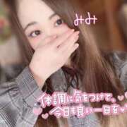 ヒメ日記 2025/09/04 07:22 投稿 みみ 京都祇園・南インターちゃんこ