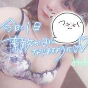 ヒメ日記 2025/09/15 07:23 投稿 みみ 京都祇園・南インターちゃんこ