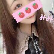 ヒメ日記 2025/09/15 21:19 投稿 みみ 京都祇園・南インターちゃんこ